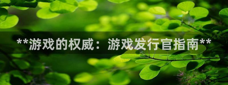 新宝gg为什么登不上去了：**游戏的权威：游戏发行官指南**