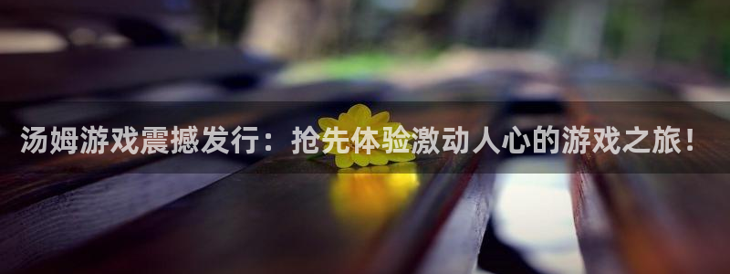 新宝gg6 创造奇迹：汤姆游戏震撼发行：抢先体验激动人心的游戏之旅！