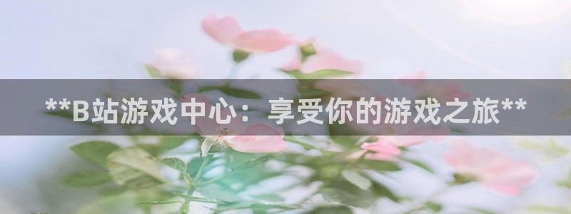 新宝gg手机版登录官网：**B站游戏中心：享受你的游戏之旅**