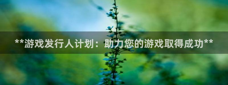 新宝gg6 创造奇迹：**游戏发行人计划：助力您的游戏取得成功**