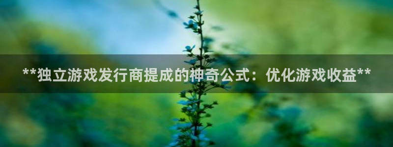 新宝gg创造奇迹登录注册玩法：**独立游戏发行商提成的神奇公式：优化游戏收益**