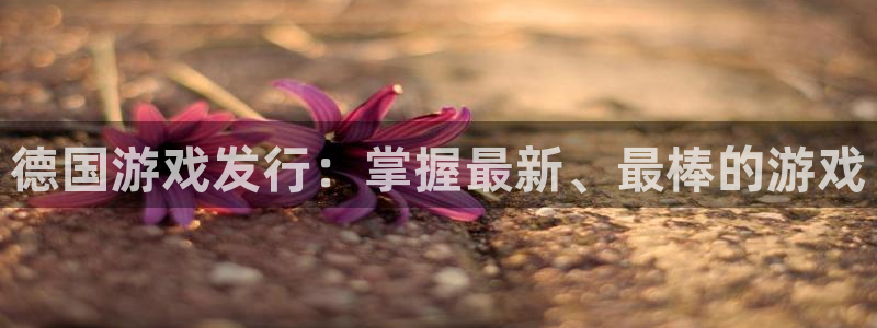新宝gg一创造奇迹代理测速：德国游戏发行：掌握最新、最棒的游戏