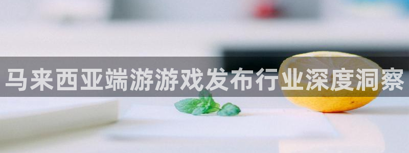 新宝gg登录入口：马来西亚端游游戏发布行业深度洞察