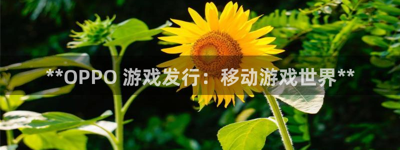 新宝gg官网登录找代理：**OPPO 游戏发行：移动游戏世界**