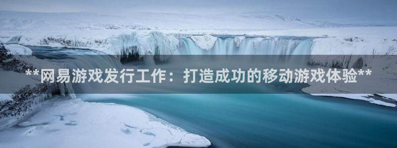 新宝gg—创造奇迹登录：**网易游戏发行工作：打造成功的移动游戏体验**