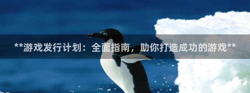 新宝gg创造奇迹代理：**游戏发行计划：全面指南，助你打造成功的游戏**