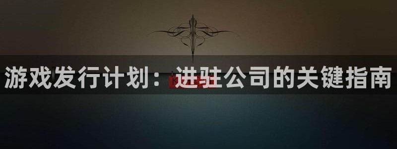 新宝gg注册账号：游戏发行计划：进驻公司的关键指南