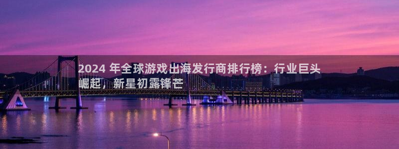 新宝gg提现不到账了?：2024 年全球游戏出海发行商排行榜：行业巨头
崛起，新星初露锋芒