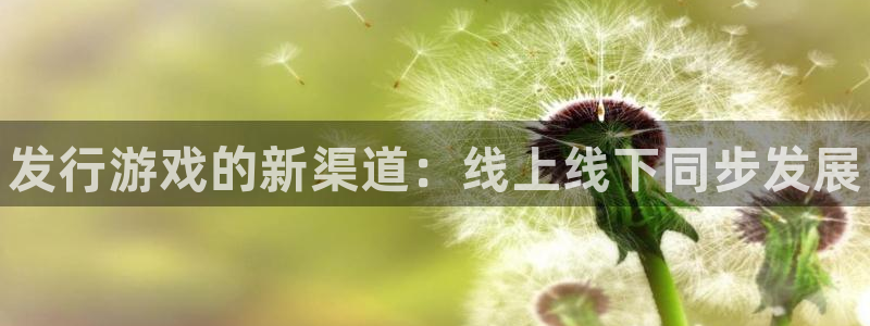 新宝gg案件
