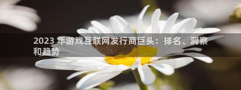 新宝gg平台—创造奇迹登录首页：2023 年游戏互联网发行商巨头：排名、洞察
和趋势
