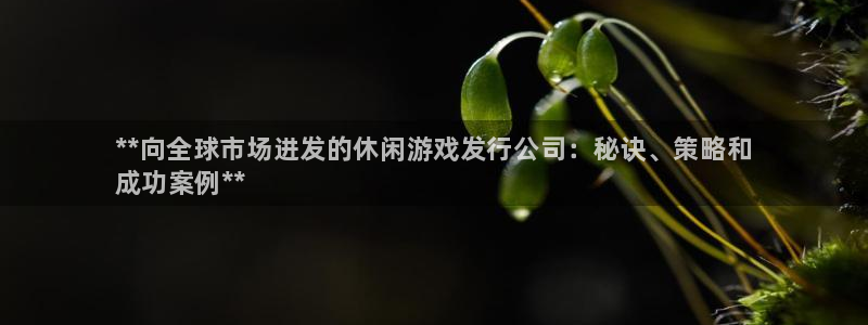 新宝gg创造奇迹官方登录入xb：**向全球市场进发的休闲游戏发行公司：秘诀、策略和
成功案例**