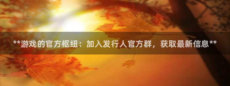 新宝gg平台注册登录指南：**游戏的官方枢纽：加入发行人官方群，获取最新信息**