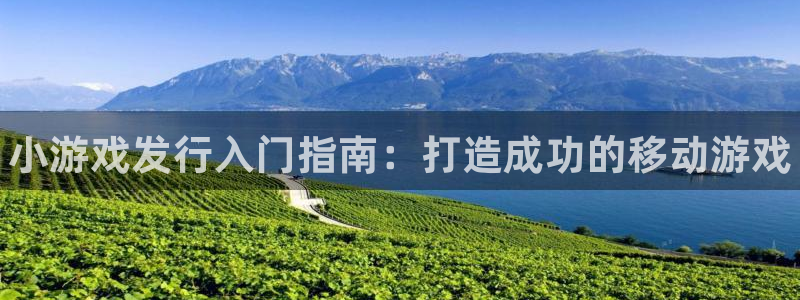 新宝gg官网登录找代理：小游戏发行入门指南：打造成功的移动游戏