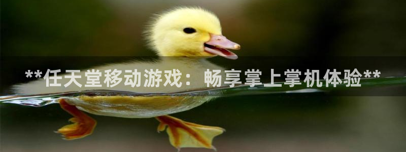 新宝gg注册网址：**任天堂移动游戏：畅享掌上掌机体验**