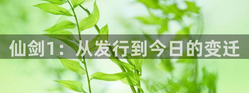 新宝gg一键登录：仙剑1：从发行到今日的变迁
