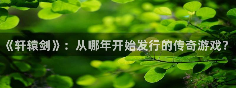 新宝gg平台注册官网：《轩辕剑》：从哪年开始发行的传奇游戏？