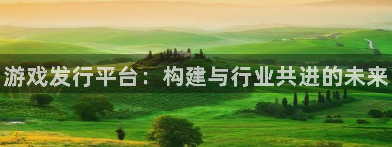 新宝gg6 创造奇迹：游戏发行平台：构建与行业共进的未来