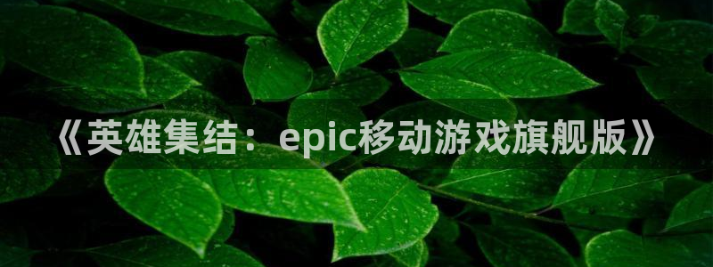 新宝gg创造奇迹会员注册登录：《英雄集结：epic移动游戏旗舰版》