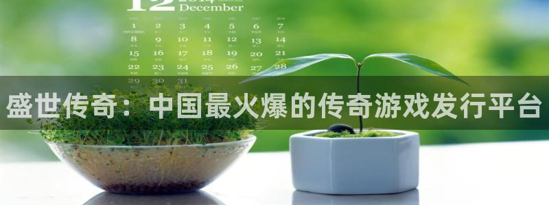 新宝gg一键登录：盛世传奇：中国最火爆的传奇游戏发行平台