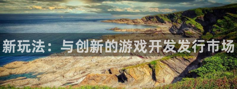 新宝gg登录入口