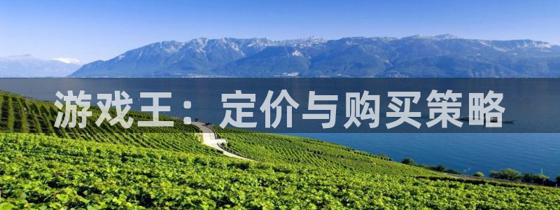 新宝gg创造奇迹代理